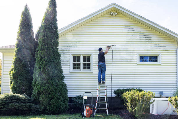 Best Deck Cleaning Services  in Washington, IL