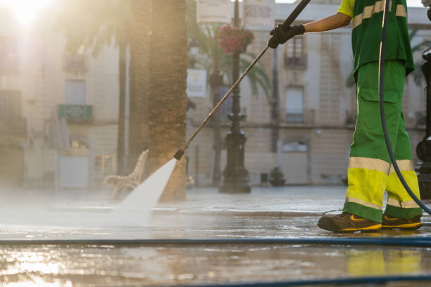 Best Roof Pressure Washing  in Washington, IL